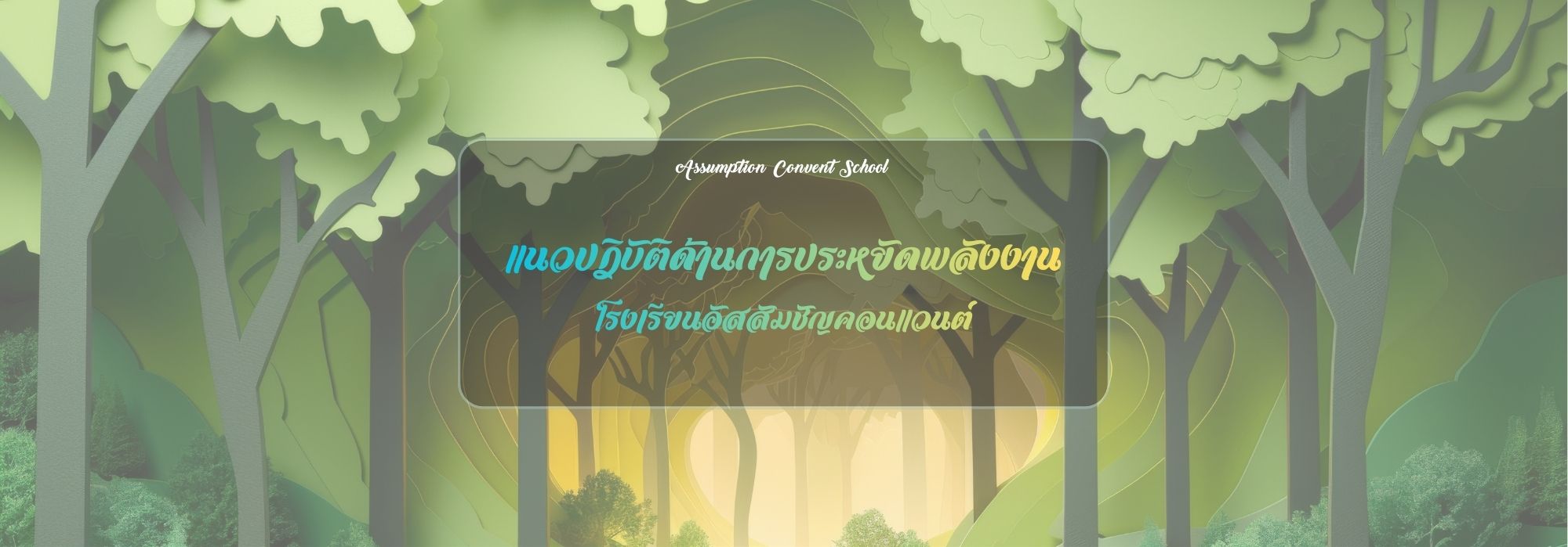 banner web (4)